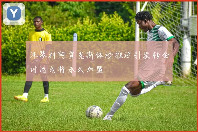 津琴科阿贾克斯体检推迟引发转会讨论或将永久加盟