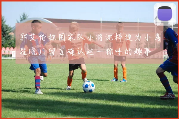 郭艾伦称国家队小将沈梓捷为小鸟翟晓川留言确认这一称呼的趣事