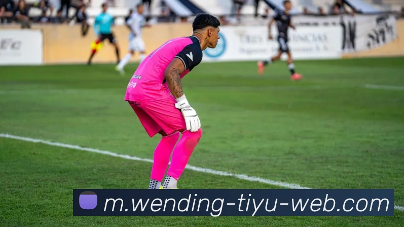 问鼎娱乐平台生态图